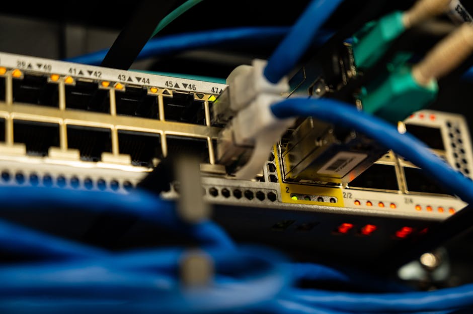 Network infrastructure connectivity